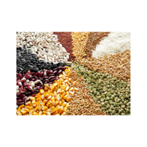 GRAINS
